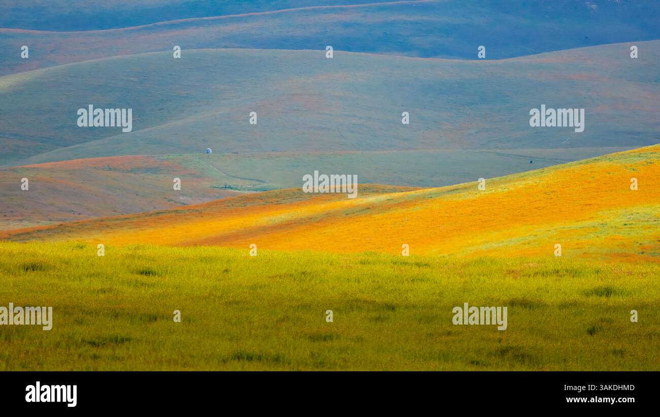 Paysage pittoresque du monument national des plaines de Carrizo en Californie avec des fleurs sauvages colorées sur les collines ondulantes Banque D'Images