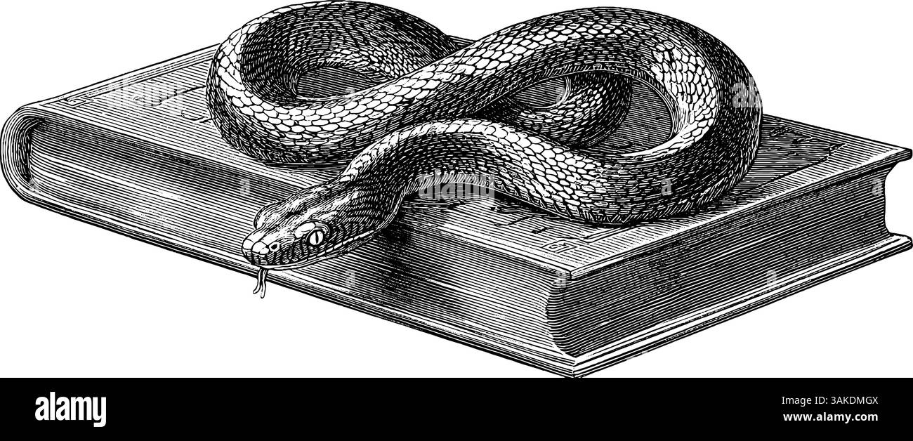 Illustration gravée de serpent enroulé autour d'un livre pour la conception artistique. Illustration de Vecteur