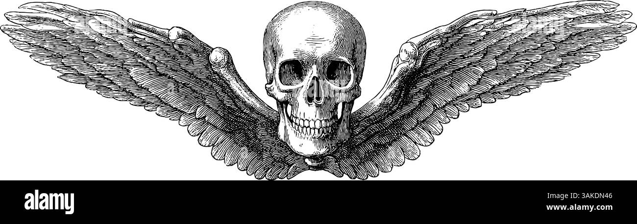 Squelette gothique avec ailes gravées illustration design pour art sombre et impressions vintage. Illustration de Vecteur