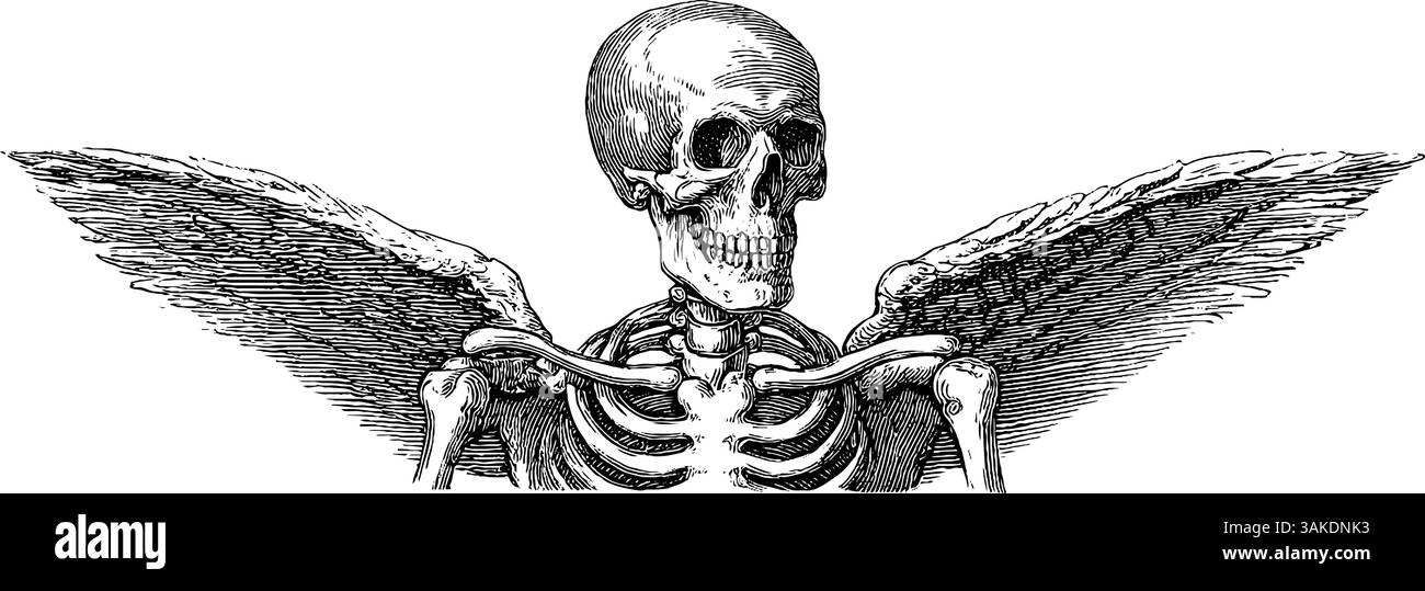 Squelette gothique avec ailes gravées illustration pour halloween ou thèmes d'art sombre. Illustration de Vecteur