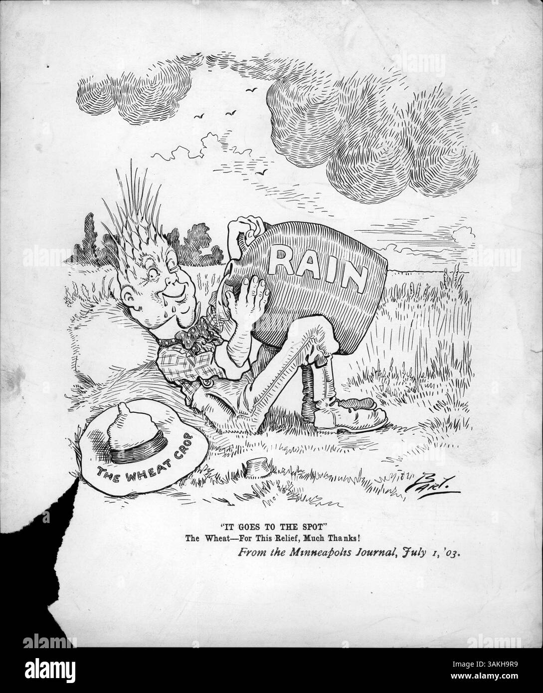 L'expression « ça va au spot » reflète l'importance des précipitations pour la récolte de blé pendant une période de sécheresse. Ce soulagement a été célébré comme une bénédiction bien nécessaire pour les agriculteurs du Nord-Ouest, sauvant la récolte. Banque D'Images