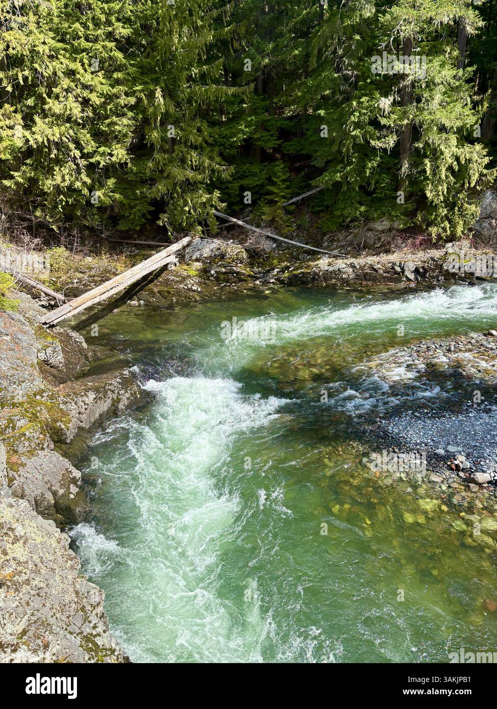 Clear River qui traverse Rocky Forest Bend - Image de stock capturée avec un smartphone