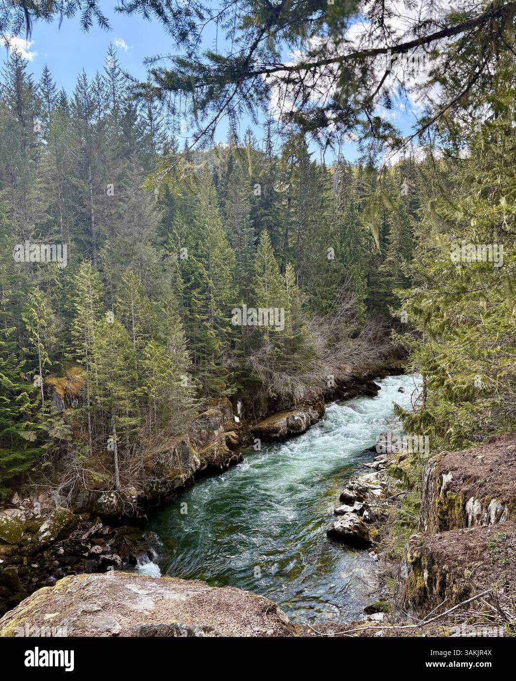 Rivière serpentant à travers Rocky Forest Canyon - Image de stock capturée avec un smartphone