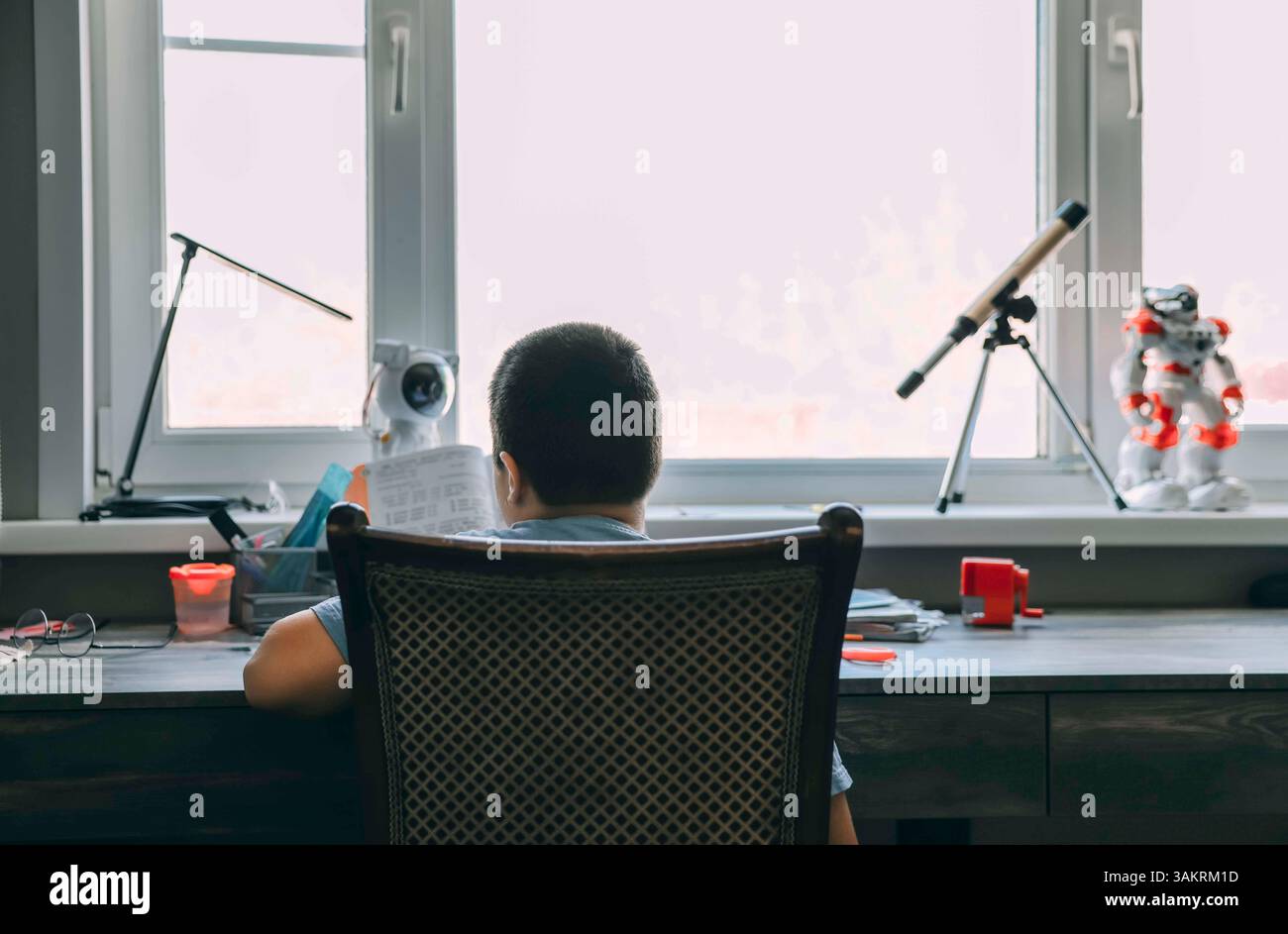 garçon assis au bureau étudiant près de la fenêtre lumineuse avec des jouets éducatifs et des manuels ouverts, vu de derrière, homeschooling, éducation de l'enfance, apprentissage Banque D'Images