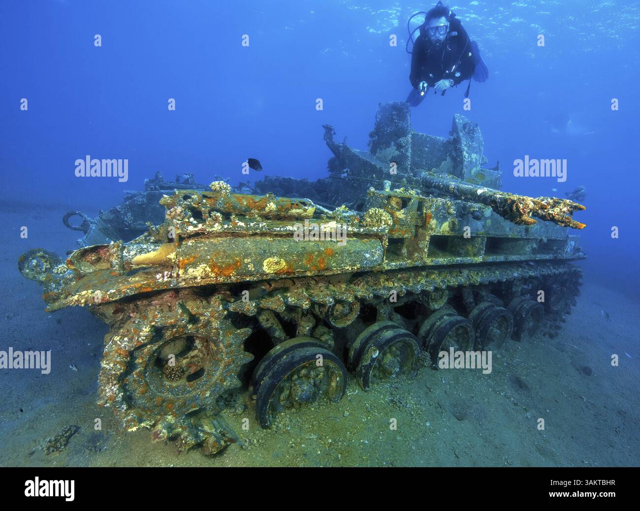 Photo sous-marine d'un plongeur nageant au-dessus regardant comme une attraction pour les sportifs sous-marins coulé le char américain américain M42 Duster avec gu anti-aérien Banque D'Images