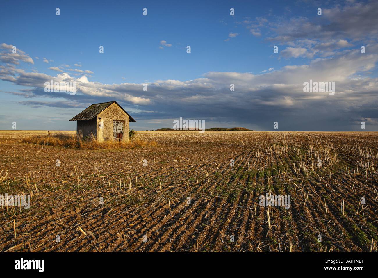 Ancienne grange et champ vide après récolte en journée ensoleillée. Photo panoramique avec champ de blé fauché sous jour ensoleillé. République tchèque Banque D'Images