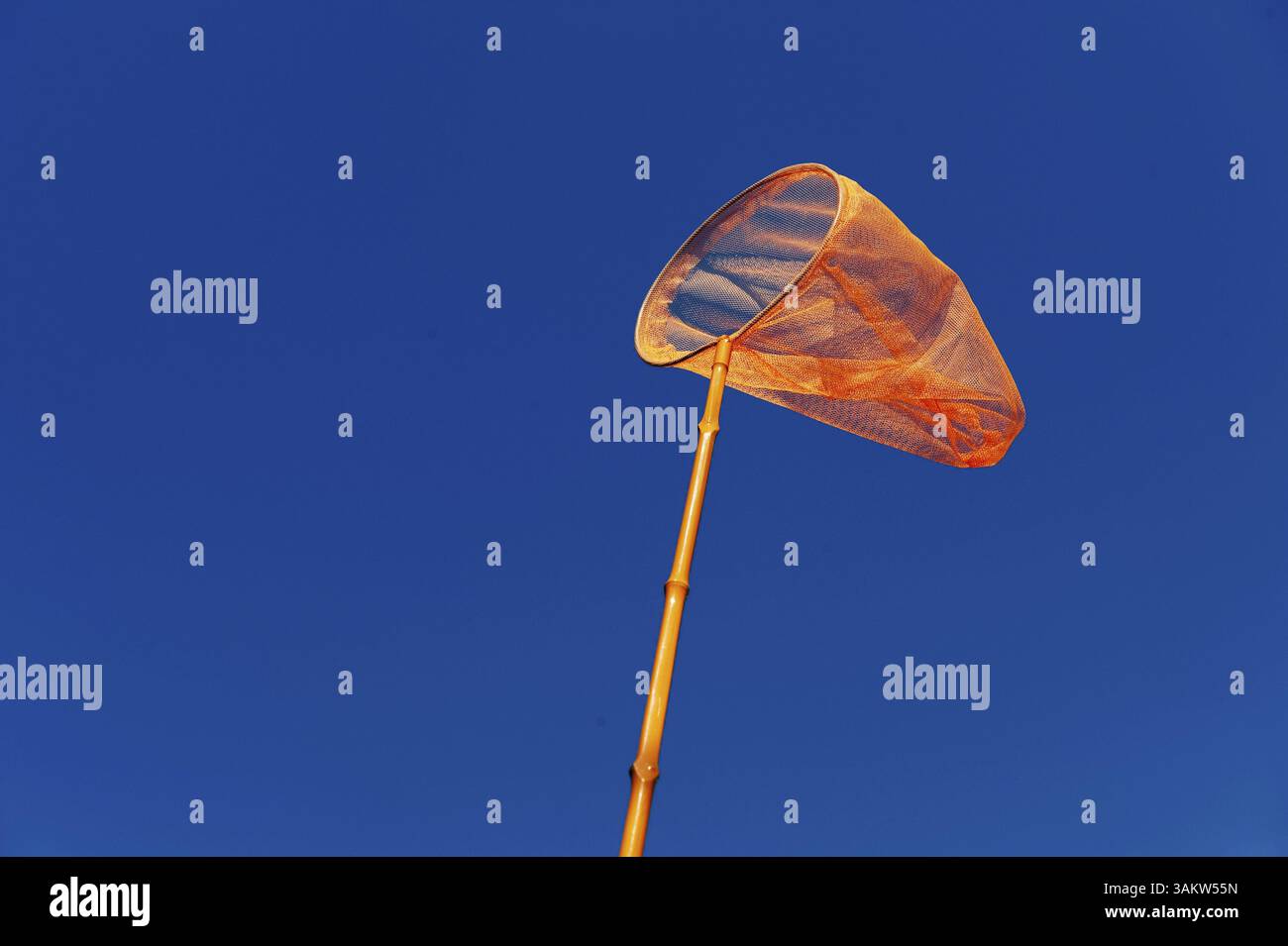 Attraper des poissons ou des papillons à l'net orange Banque D'Images