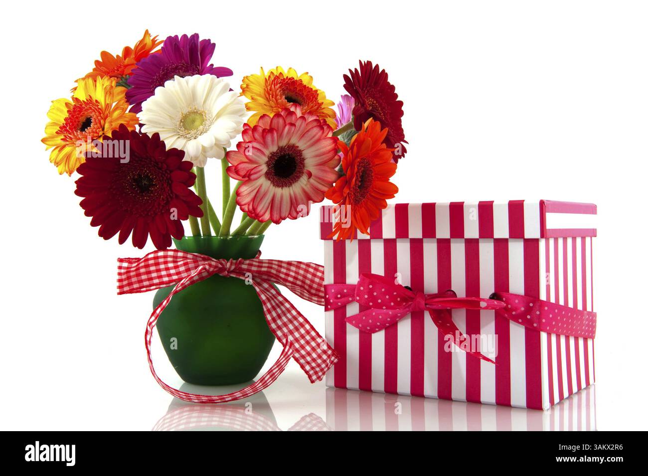 Beau bouquet Gerber coloré avec ruban damier et présent Banque D'Images