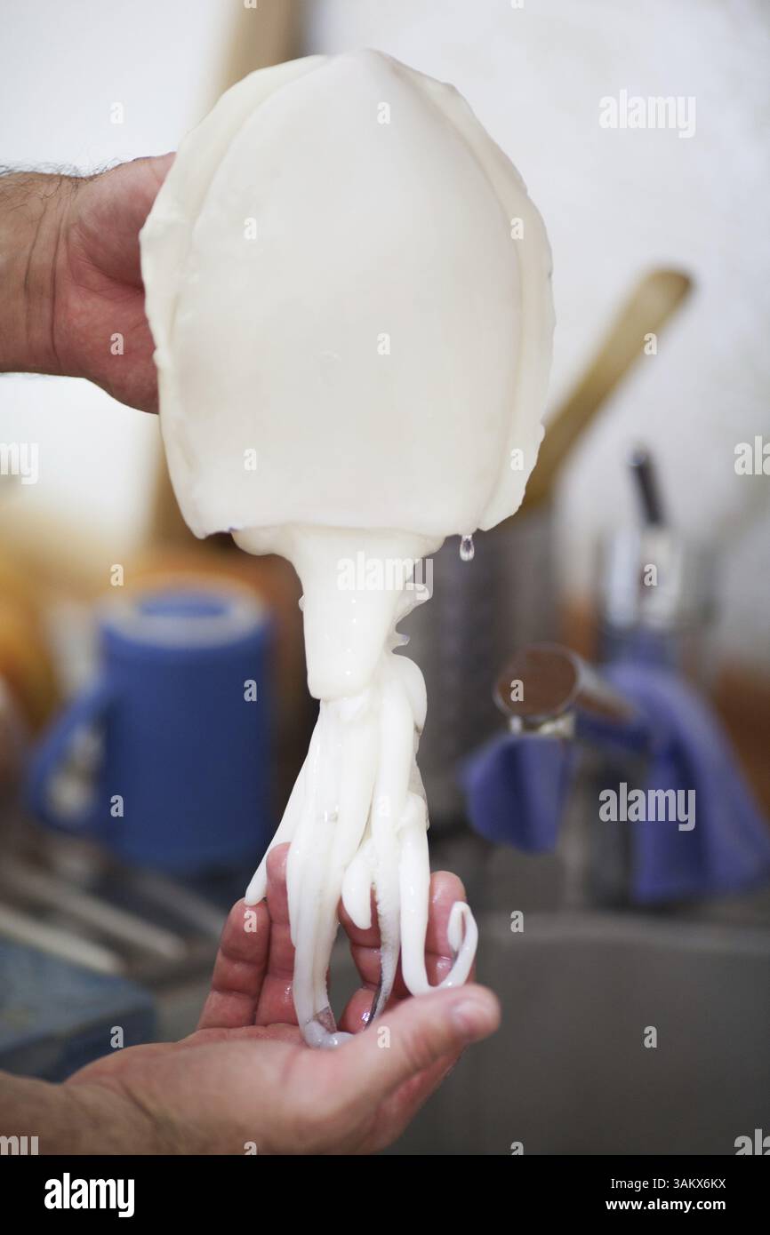 L'invention concerne une personne nettoyant une pieuvre ou un calmar crue dans une cuisine, qui retire l'encre des tentacules en vue de préparer un plat de fruits de mer de calamars Banque D'Images