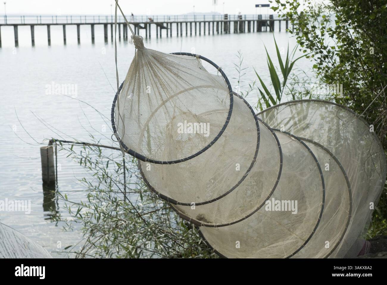 Un filet qui enferme quand le poisson est dedans Banque D'Images
