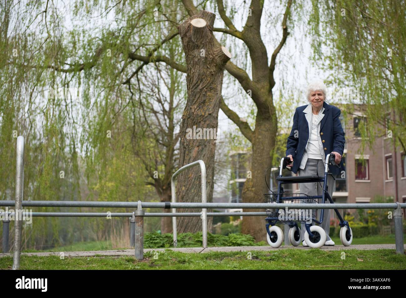 Femme âgée avec marcheur marchant dans le parc Banque D'Images