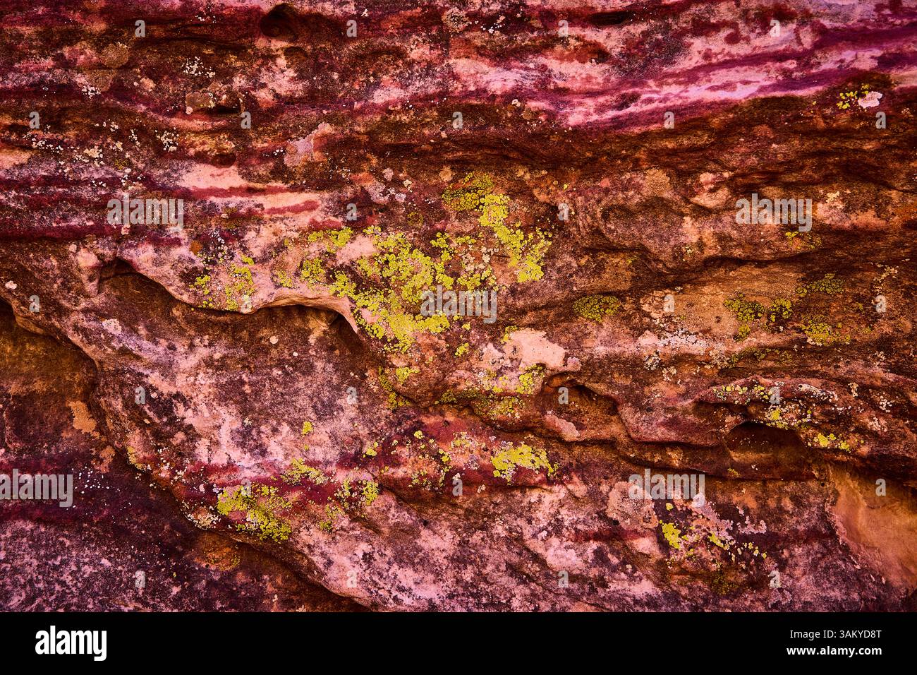 Face rocheuse accidentée avec vue rapprochée sur les lichens dans Red Rock Canyon Banque D'Images