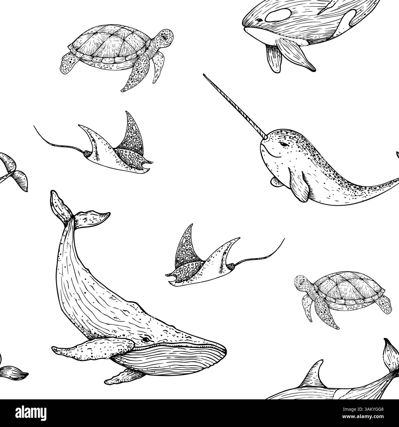 Modèle sans couture avec orque, orque, raie, tortue de mer, grosse baleine. Animal marin peint à la main. Clip art tropical graphique isolé sur Illustration de Vecteur