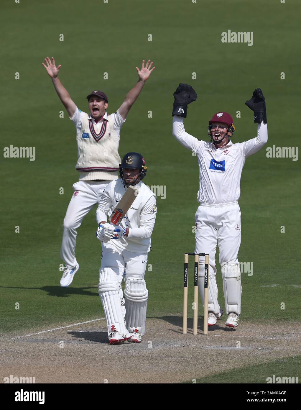 Hove, Royaume-Uni. 13 avril 2025. Tom Haines de Sussex est piégé LBW par Archie Vaughan, le lanceur du Somerset, lors de la troisième journée du Rothesay County Championship Division 1 match entre Sussex et Somerset au 1st Central County Ground, Hove. Crédit : James Boardman/Alamy Live News Banque D'Images
