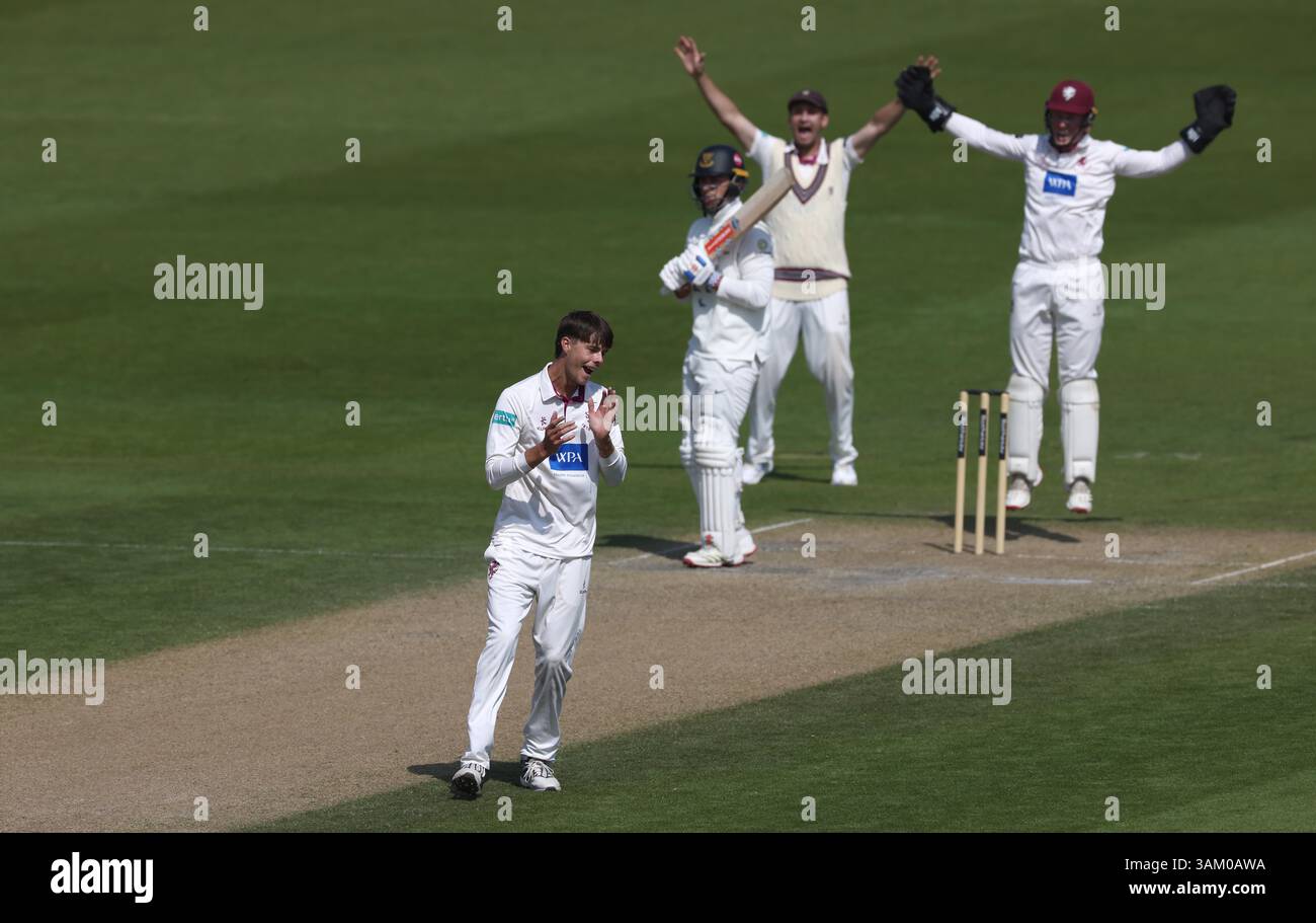 Hove, Royaume-Uni. 13 avril 2025. Archie Vaughan, joueur de bowling du Somerset, célèbre le licenciement de Tom Haines LBW de Sussex lors de la troisième journée du Rothesay County Championship Division 1 match entre Sussex et Somerset au 1st Central County Ground, Hove. Crédit : James Boardman/Alamy Live News Banque D'Images