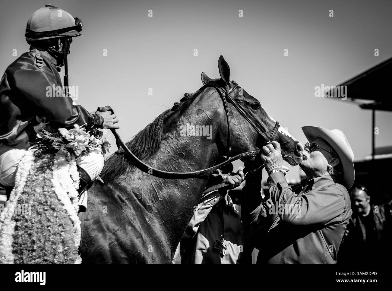 5 avril 2014 - Arcadia, Californie, États-Unis - California Chrome, monté par Victor Espinoza, est accueilli par le propriétaire Steve Coburn après avoir remporté le Derby de Santa Anita au Santa Anita Park à Arcadia CA. Alex Evers/ESW/CSM(crédit image : © Alex Evers/Cal Sport Media/ZUMAPRESS.com) Banque D'Images