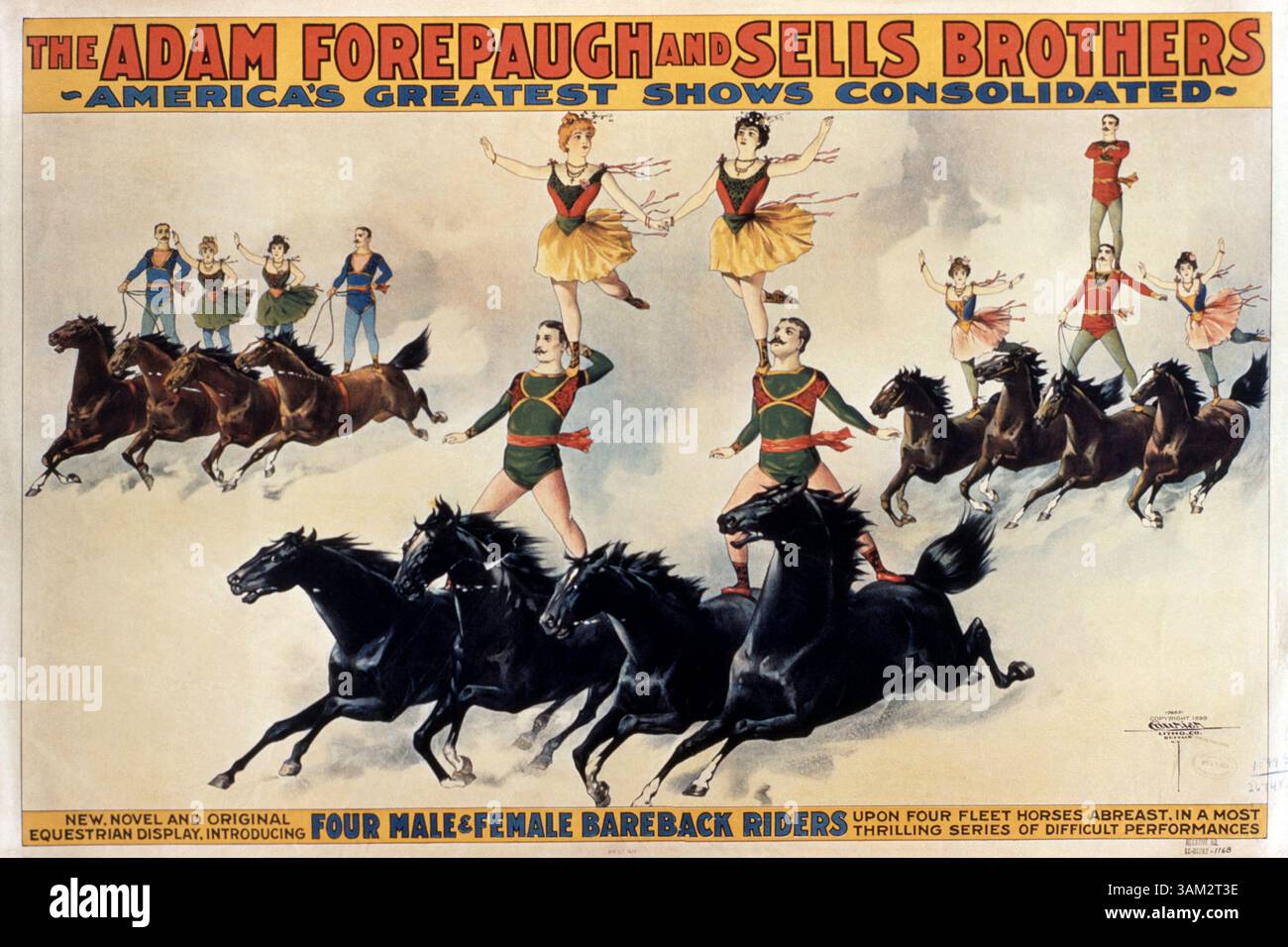 1 juin 1900 - Acrobats Riding Horses, Forepaugh & Sells Bros Cirque, affiche, circa 1899 (crédit image : © Glasshouse/ZUMAPRESS.com) Banque D'Images