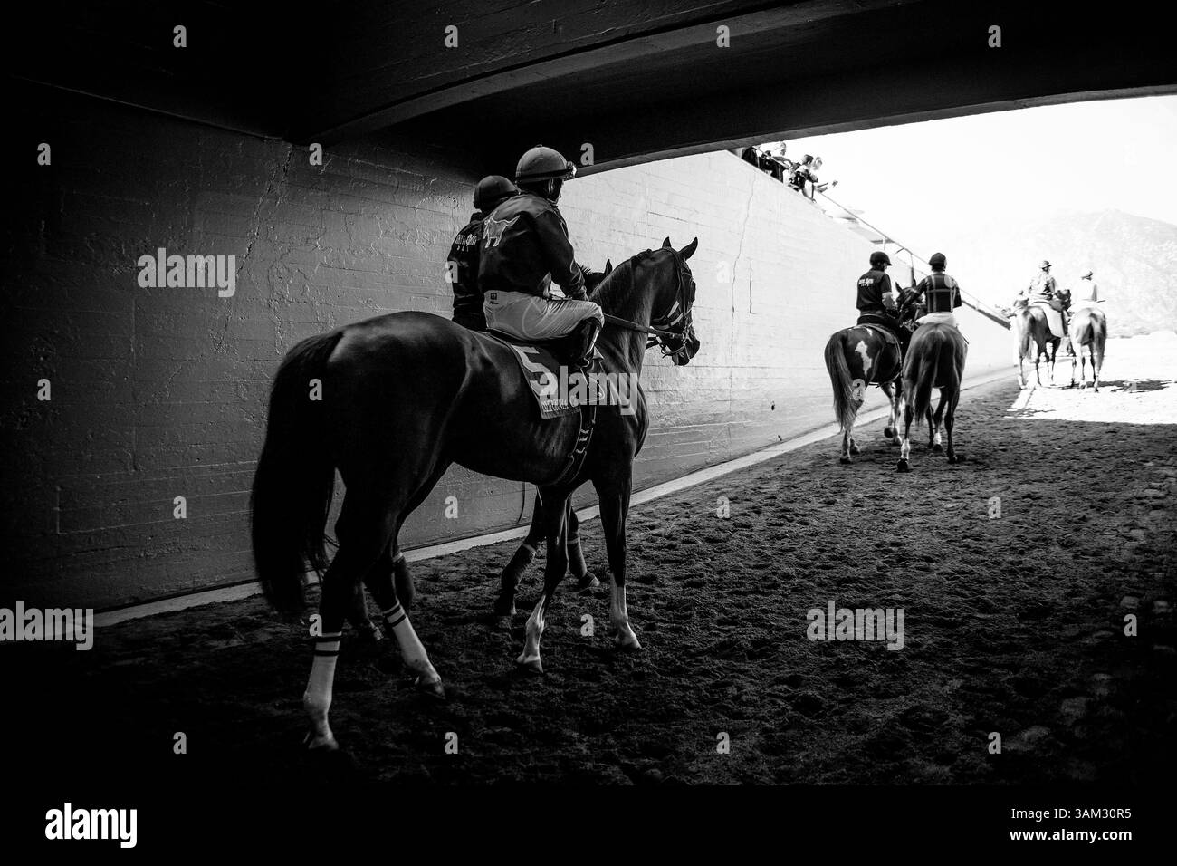 5 avril 2014 - Arciadia, CA, États-Unis - 5 AVRIL 2014 : California Chrome, piloté par Victor Espinoza, remporte le Derby de Santa Anita au Santa Anita Park à Arcadia CA. Alex Evers/ESW/CSM(crédit image : © Alex Evers/Cal Sport Media/ZUMAPRESS.com) Banque D'Images