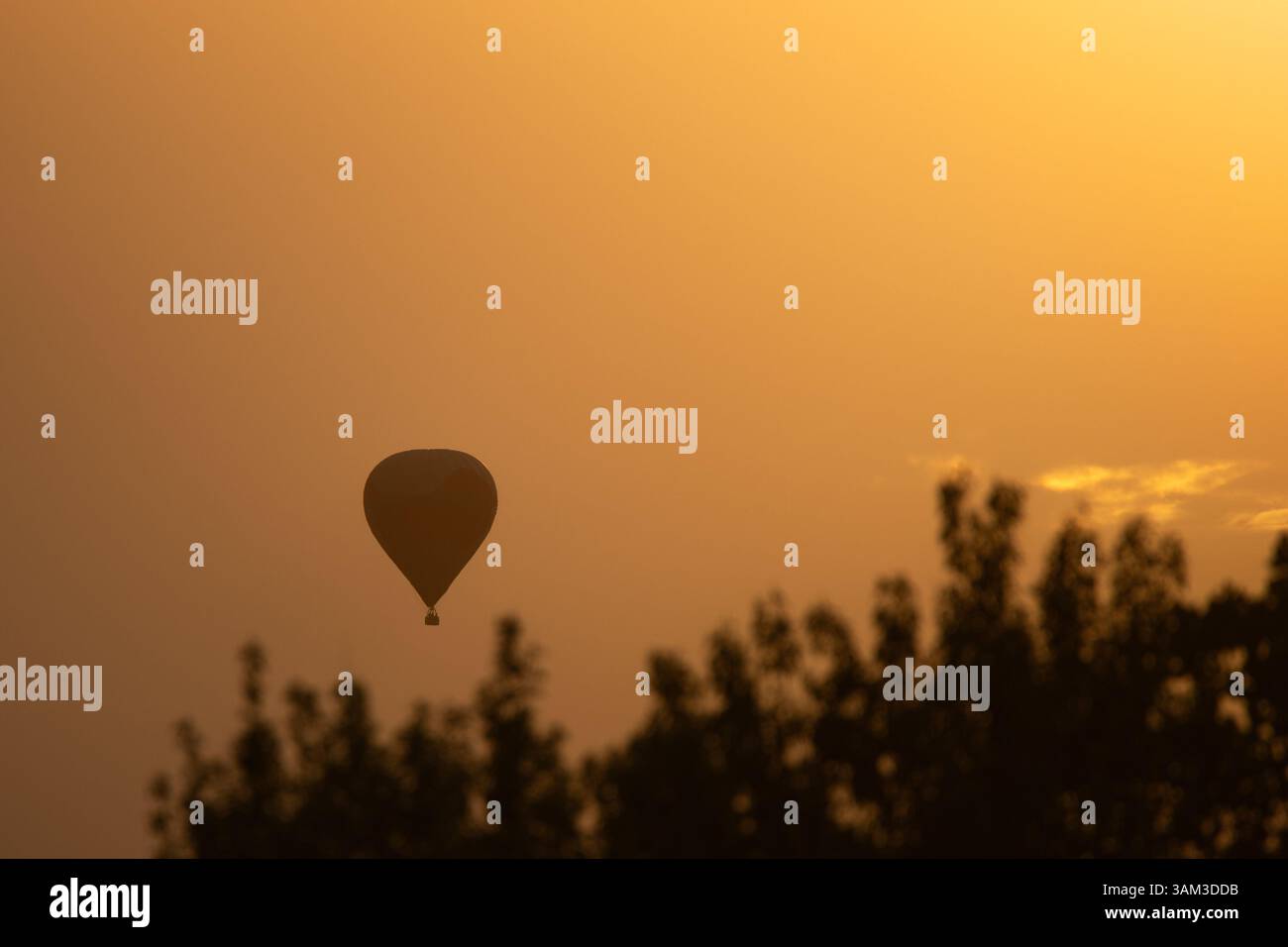 Une montgolfière flotte gracieusement dans la lueur orange du coucher du soleil, silhouette sur le ciel doré radieux. Banque D'Images