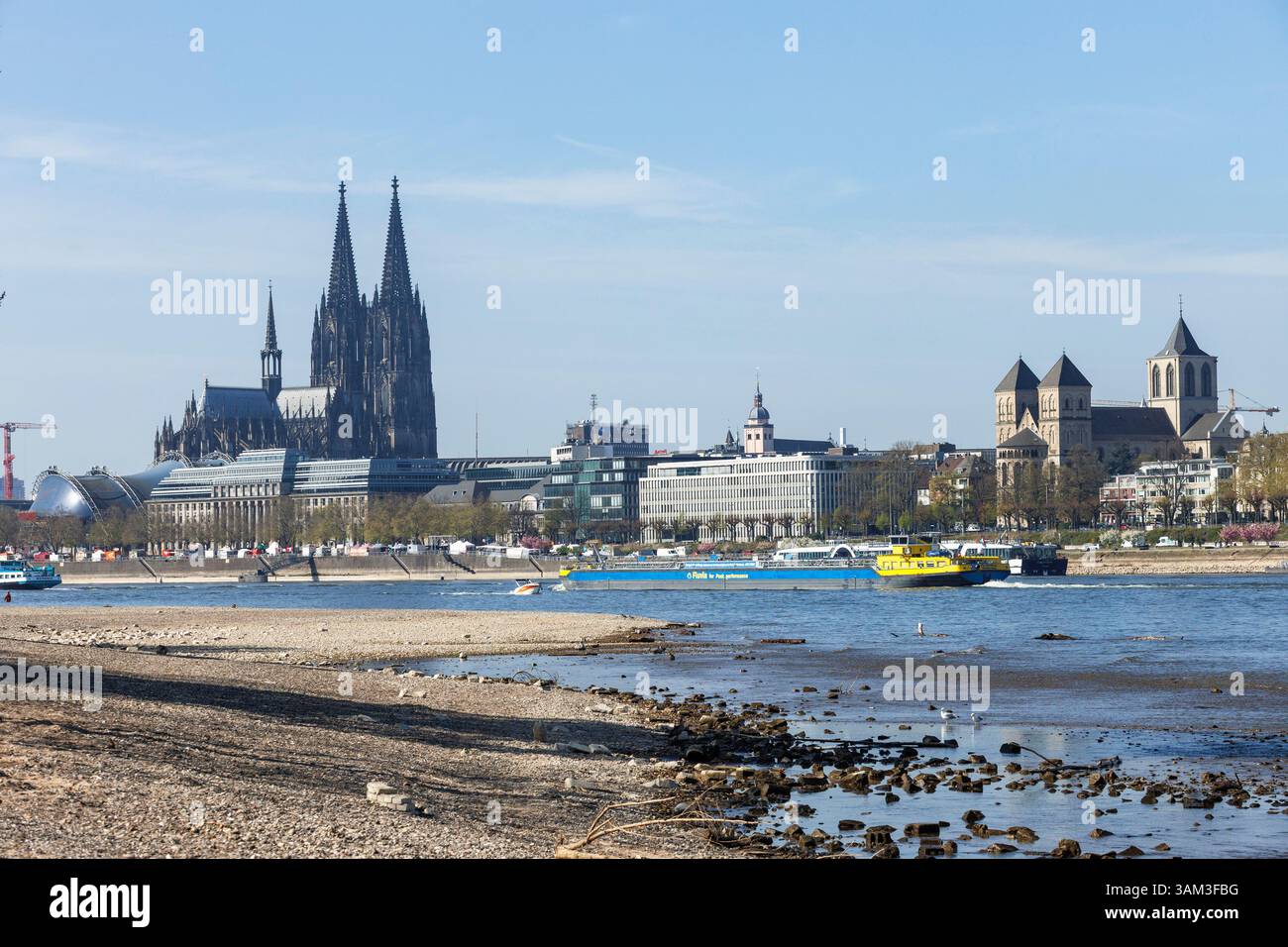 Bas niveau du Rhin, niveau du Rhin de 144 cm le 11 avril 2025, rives du Rhin à Cologne-Deutz, vue sur la cathédrale et l'église Banque D'Images