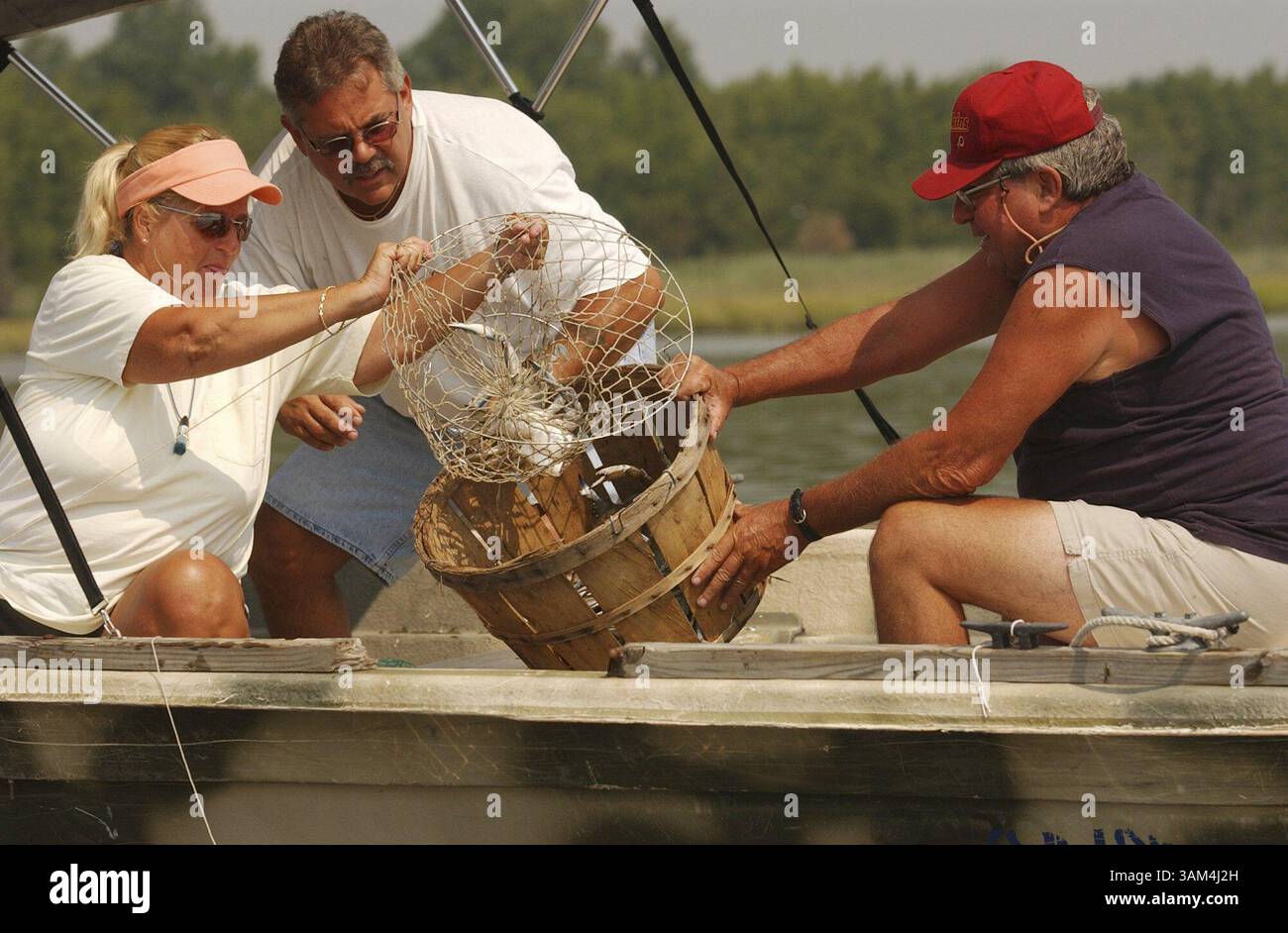 17 juillet 2004 - États-Unis - KRT FOOD STORY SLUGGED : CRABS KRT PHOTOGRAPHIE DE JESSICA GRIFFIN/PHILADELPHIA DAILY NEWS (juillet 26) Betty et Bob Esposito, à gauche, enlèvent les crabes d'un filet, tandis que Chuck Cohill tient le panier pour eux à la marina Sun Dog de Newport, New Jersey. (cdm) 2004 (crédit image : © Jessica Griffin/mct/ZUMAPRESS.com) Banque D'Images
