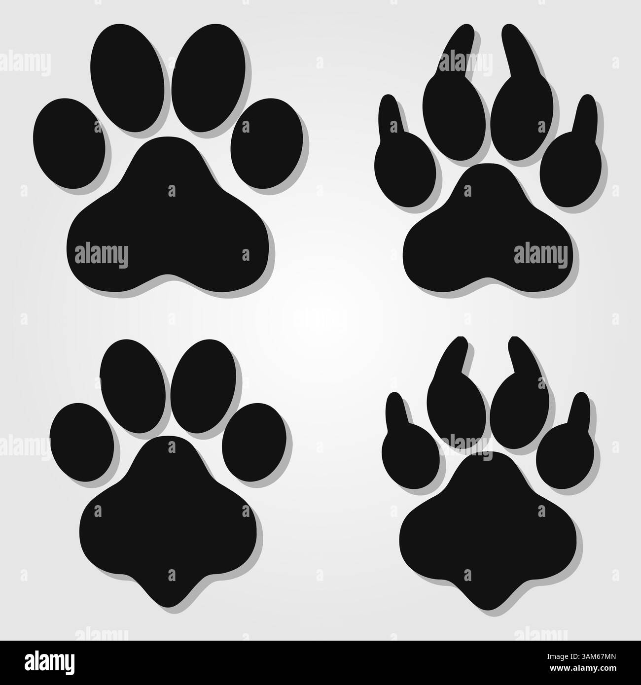 Différentes empreintes de grands chats mis Illustration de Vecteur