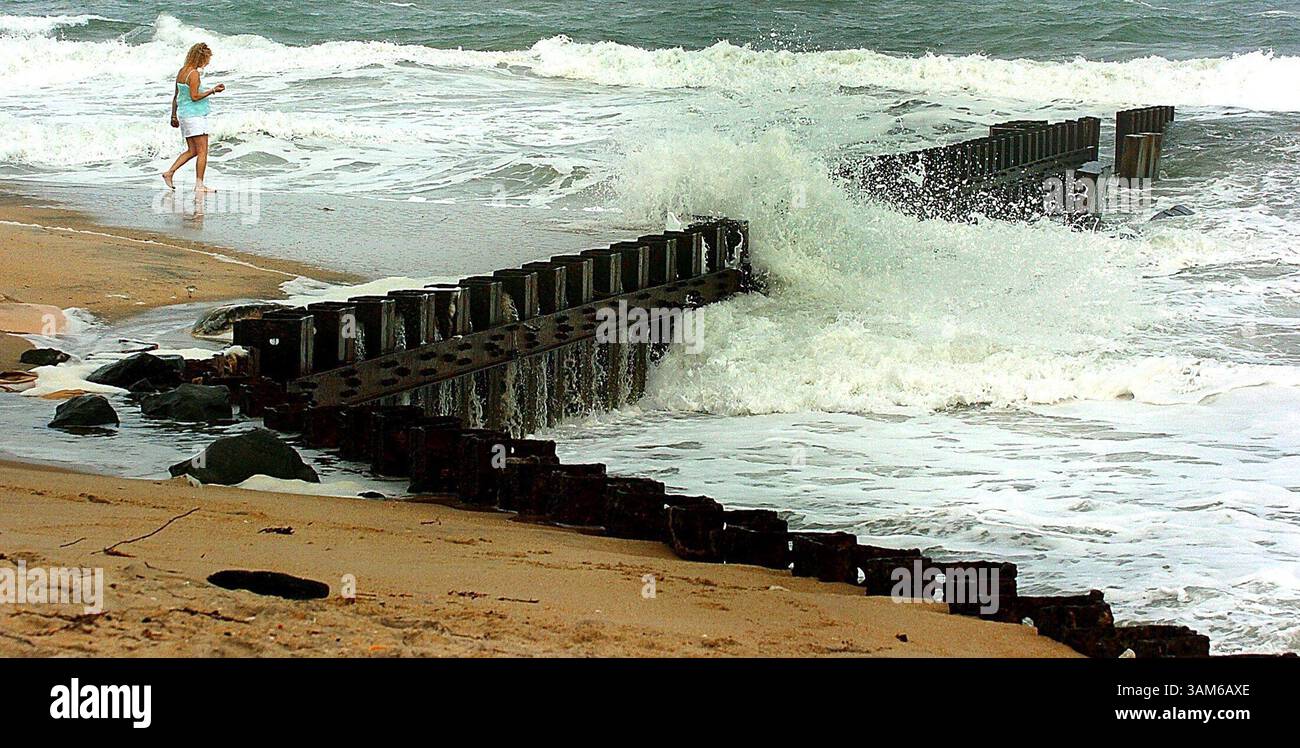 12 septembre 2005 - États-Unis - KRT US NEWS STORY SLUGGED : WEA-OPHELIA KRT PHOTOGRAPHIE PAR PATRICK SCHNEIDER/THE CHARLOTTE OBSERVER (12 septembre) RODANTHE, NC - Pat Lord, de Cleveland, Ohio, ne laisse pas les vagues qui s'écrasent générées par la tempête tropicale Ophelia l'empêcher de chercher des coquillages le long de la plage au phare du cap Hatteras sur l'île Hatteras, dans les rives extérieures de Caroline du lundi 12 septembre 2005. Ophelia a fluctué entre être un ouragan et une tempête tropicale et pourrait retrouver le statut d'ouragan avant de toucher terre. (cic) 2005 (crédit image : © Patrick Schneide Banque D'Images