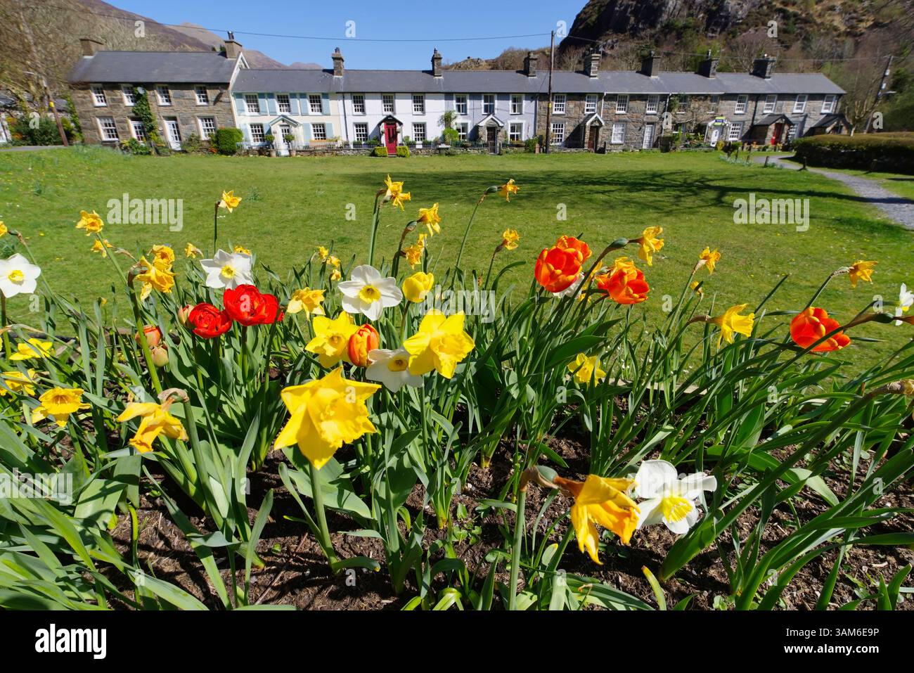 Cottages, Beddgelert, Eryri, (Snowdonia) Gwynedd, Nord-Ouest du pays de Galles. Banque D'Images