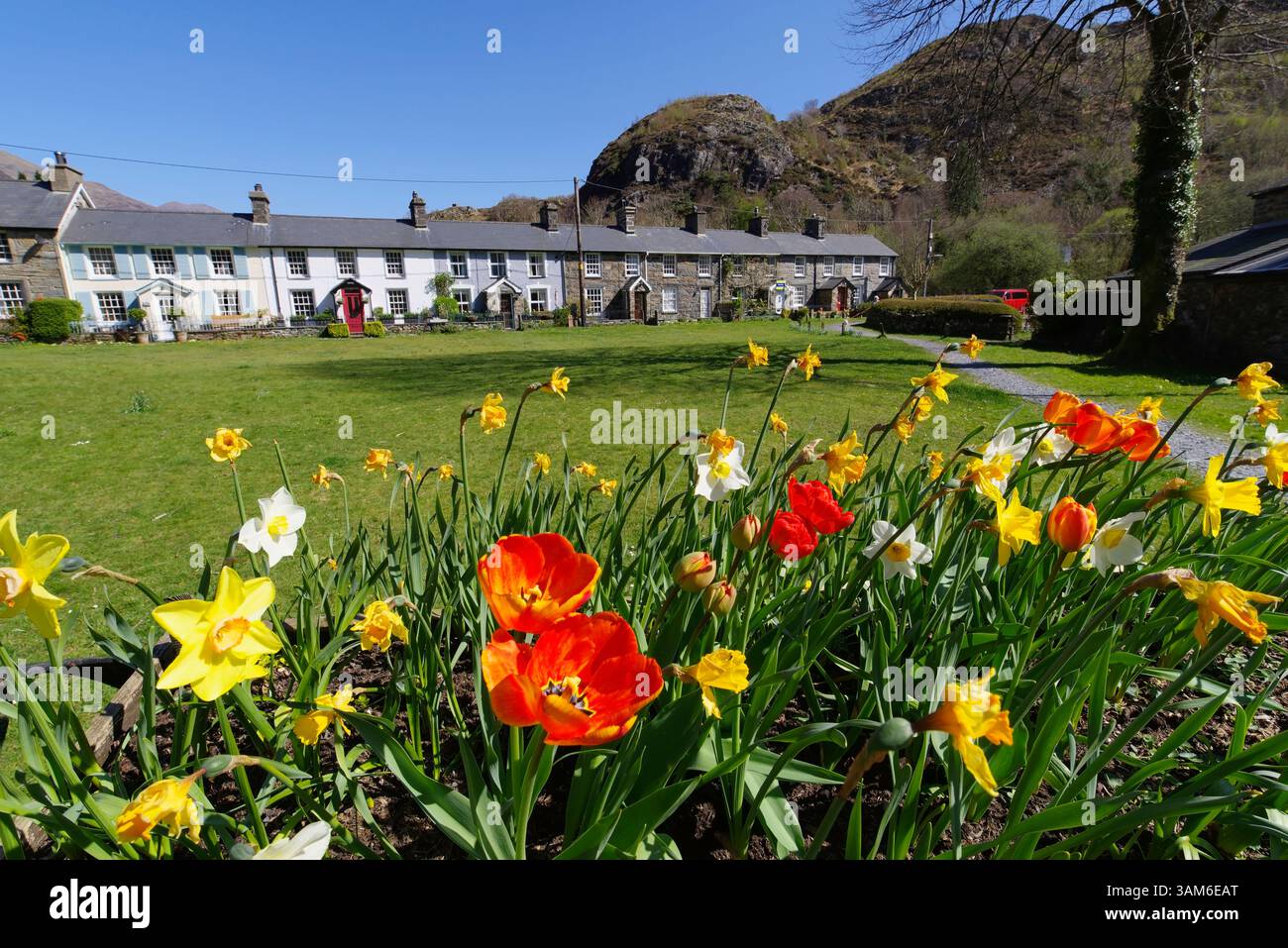 Cottages, Beddgelert, Eryri, (Snowdonia) Gwynedd, Nord-Ouest du pays de Galles. Banque D'Images