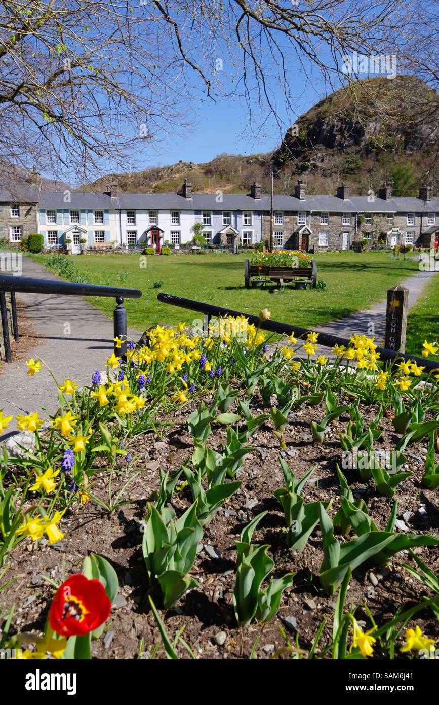 Cottages, Beddgelert, Eryri, (Snowdonia) Gwynedd, Nord-Ouest du pays de Galles. Banque D'Images