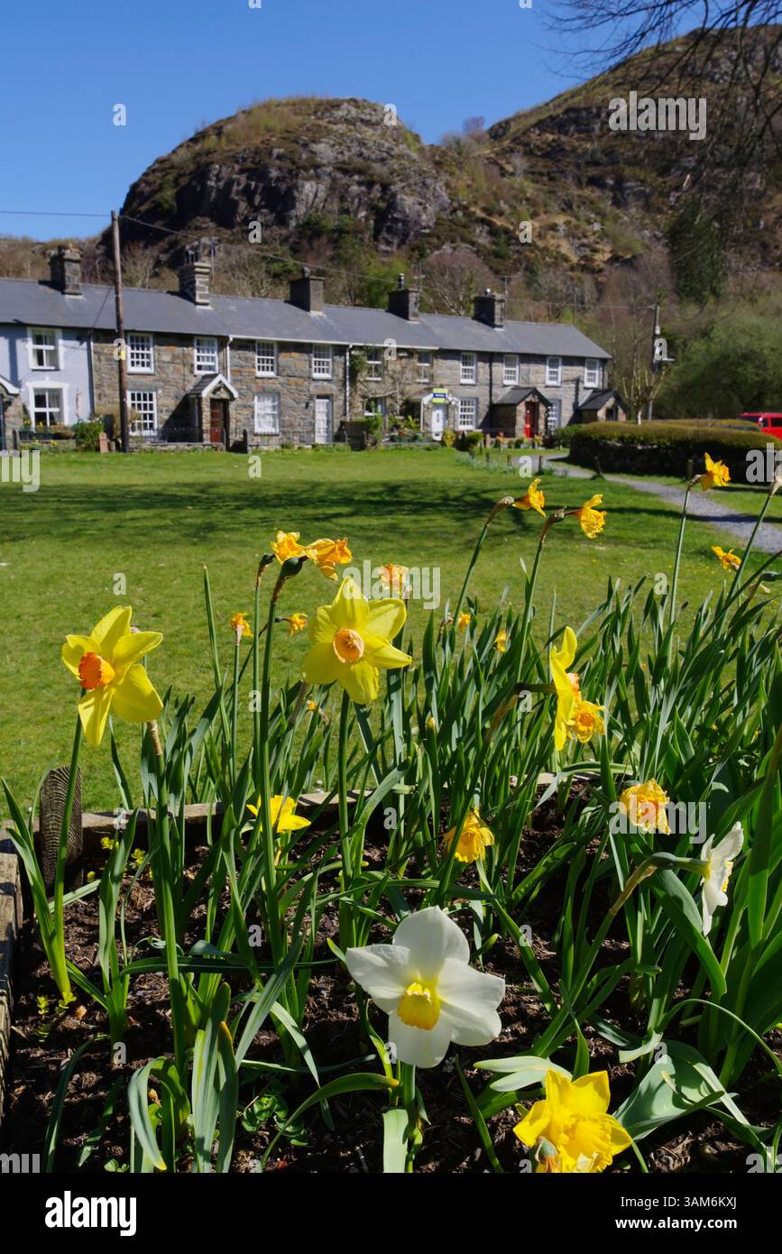 Cottages, Beddgelert, Eryri, (Snowdonia) Gwynedd, Nord-Ouest du pays de Galles. Banque D'Images