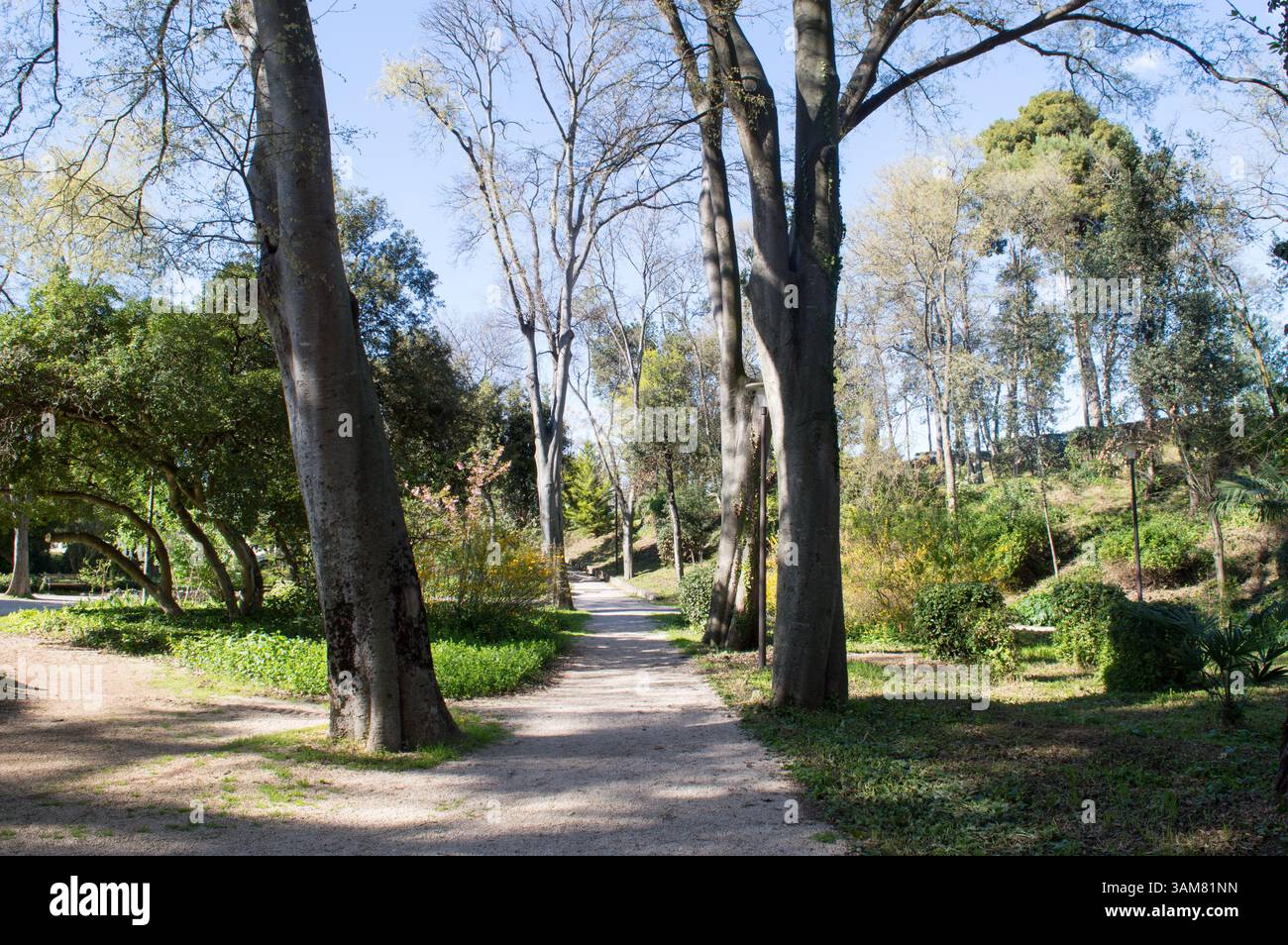 Parc public historique, Vladimir Nazor à Zadar, Croatie Banque D'Images