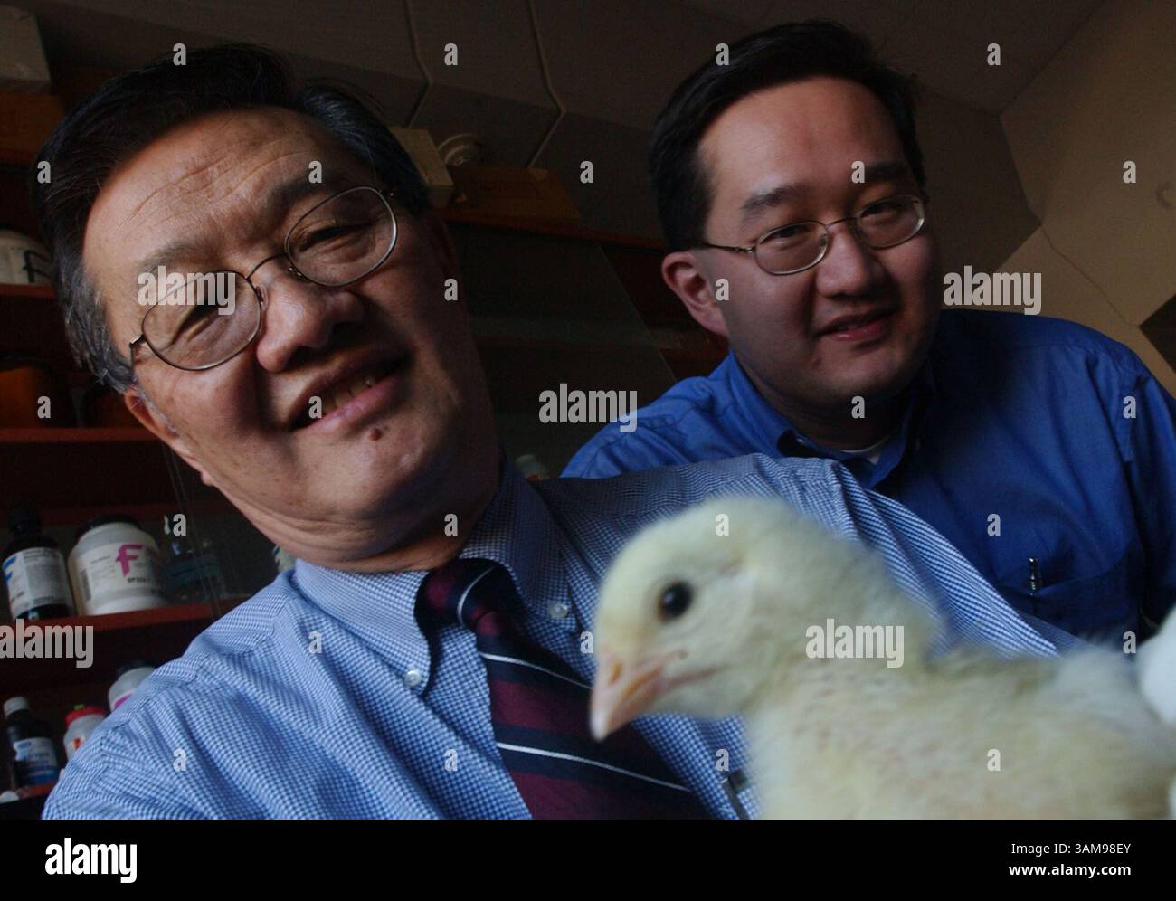 Jan. 26, 2007 - États-Unis - Jason Shih, professeur au NCSU, à gauche, et son Giles Shih, propriétaire de BioResource International, ont trouvé une enzyme qui peut aider à fermenter les plumes de poulet dans un produit utilisé pour fabriquer des plastiques plus résistants et des matériaux fibreux tels que le papier à notes. (Jim Bounds/Raleigh News & observer/MCT) (image crédit : © Jim Bounds/mct/ZUMAPRESS.com) Banque D'Images