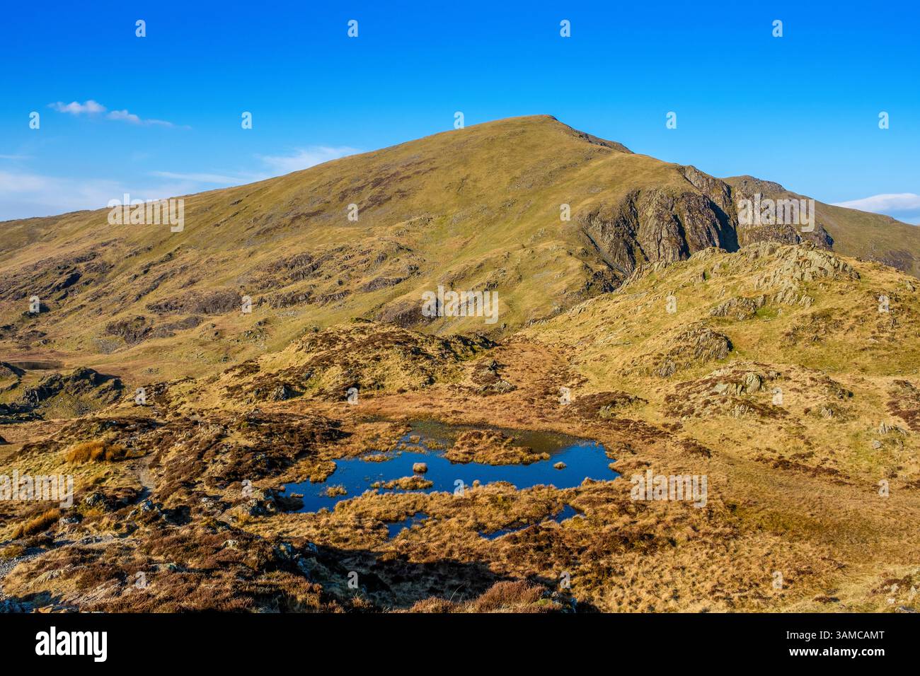 Dale Head dans les Derwent Fells, Lake District National Park, Cumbria Banque D'Images