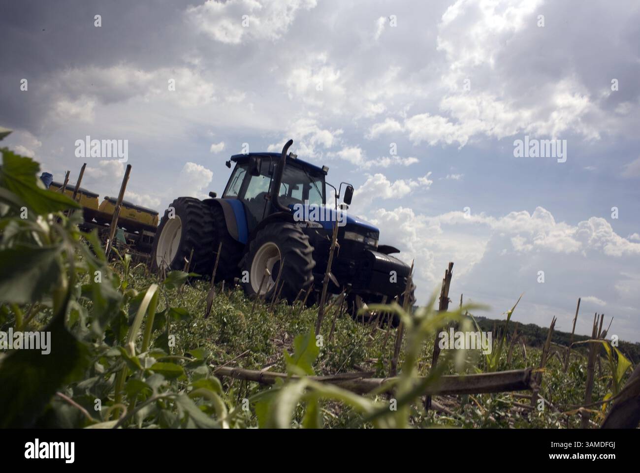 8 novembre 2008 - Primavera do Oeste, Mato Grosso, BRA - les ouvriers agricoles commencent à planter la récolte de soja de 2009 dans une propriété à Primavera do Oeste, Mato Grosso, où la chute des prix des matières premières, l'augmentation des coûts de production due à la forte appréciation du dollar par rapport à la monnaie locale, le réel, et la réduction spectaculaire de la disponibilité du crédit, tout peut sérieusement affecter l'économie de la ville, largement dépendante de la production de soja pour l'exportation. (Andre Vieira/MCT) (crédit image : © AndrÃË† Vieira/MCT/ZUMAPRESS.com) Banque D'Images