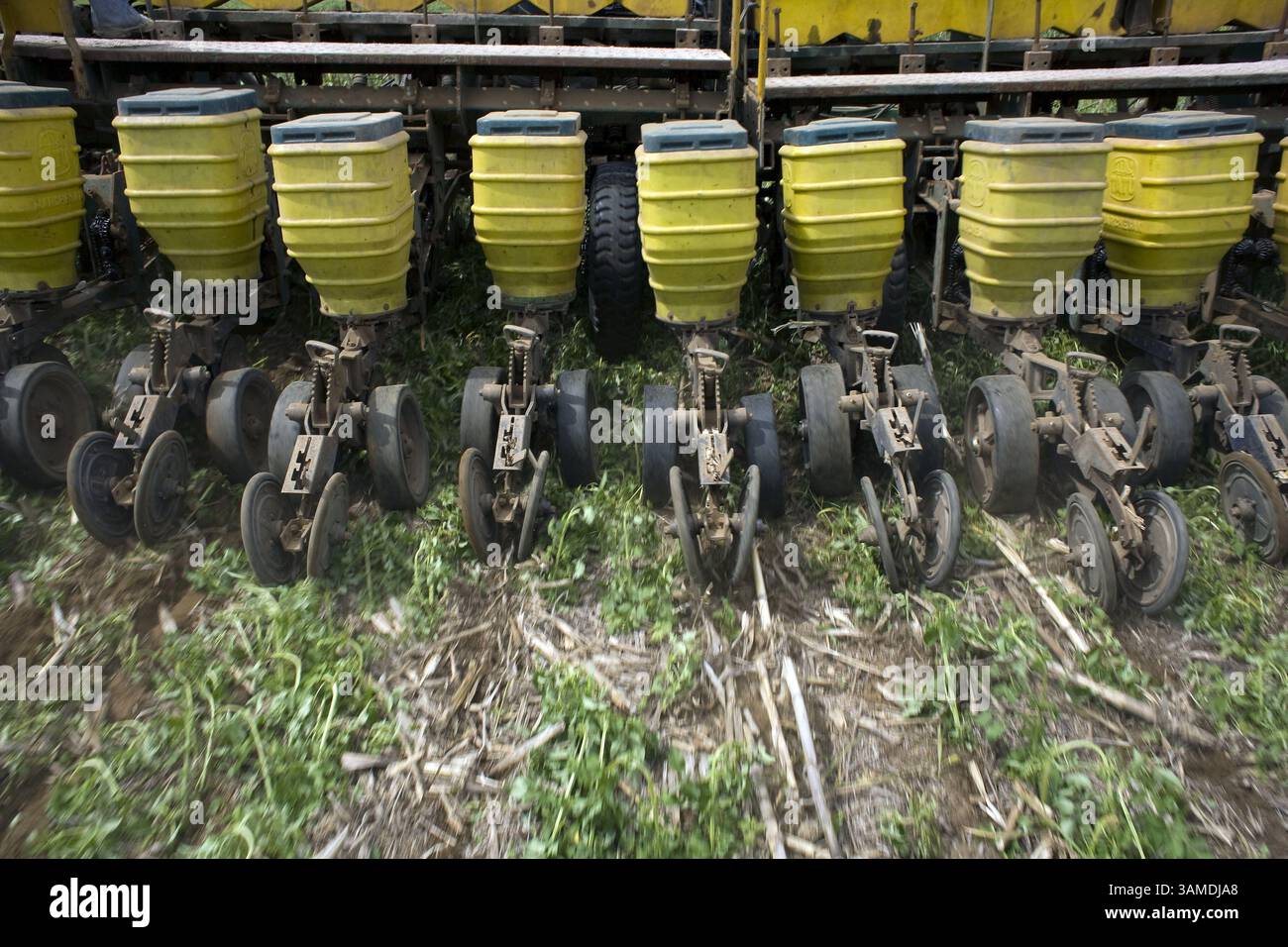 8 novembre 2008 - Primavera do Oeste, Mato Grosso, BRA - les ouvriers agricoles commencent à planter la récolte de soja de 2009 dans une propriété à Primavera do Oeste, Mato Grosso, où la chute des prix des matières premières, l'augmentation des coûts de production due à la forte appréciation du dollar par rapport à la monnaie locale, le réel, et la réduction spectaculaire de la disponibilité du crédit, tout peut sérieusement affecter l'économie de la ville, largement dépendante de la production de soja pour l'exportation. (Andre Vieira/MCT) (crédit image : © AndrÃË† Vieira/MCT/ZUMAPRESS.com) Banque D'Images
