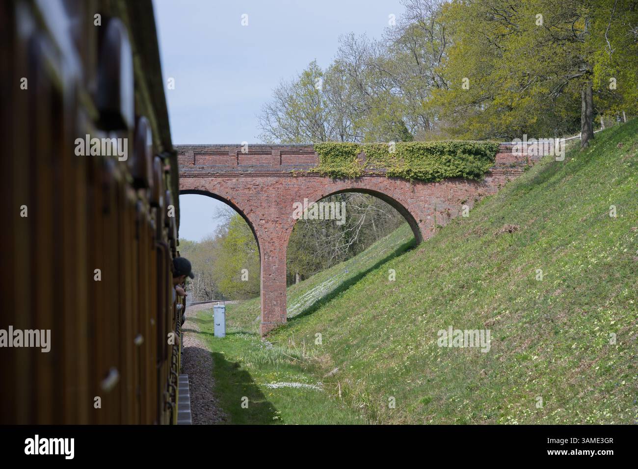 Train à vapeur passant sous un pont - Bluebell Railway - East Sussex UK Banque D'Images