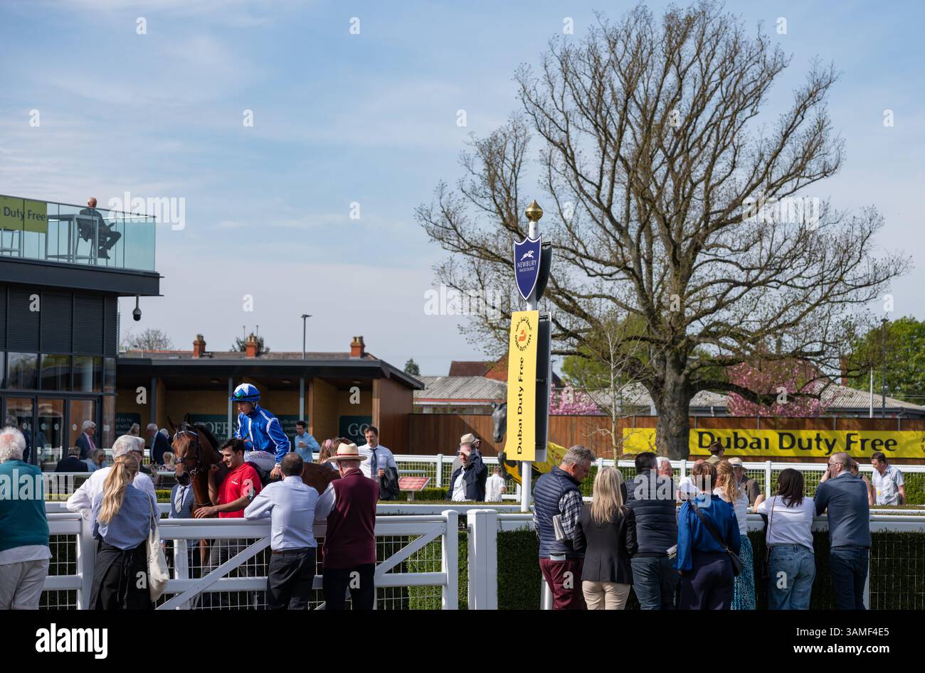 Crown of Oaks et Cieren Fallon avant le Darley ont confiné EBF Maiden Stakes à Newbury. Crédit JTW Equine images / Alamy Banque D'Images