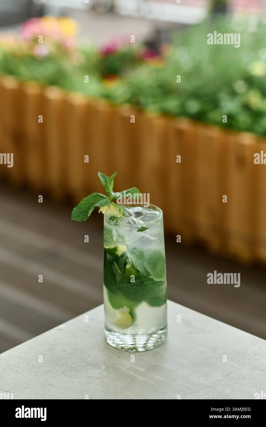 Cocktail Mojito avec citron vert, menthe et glace dans un verre Banque D'Images