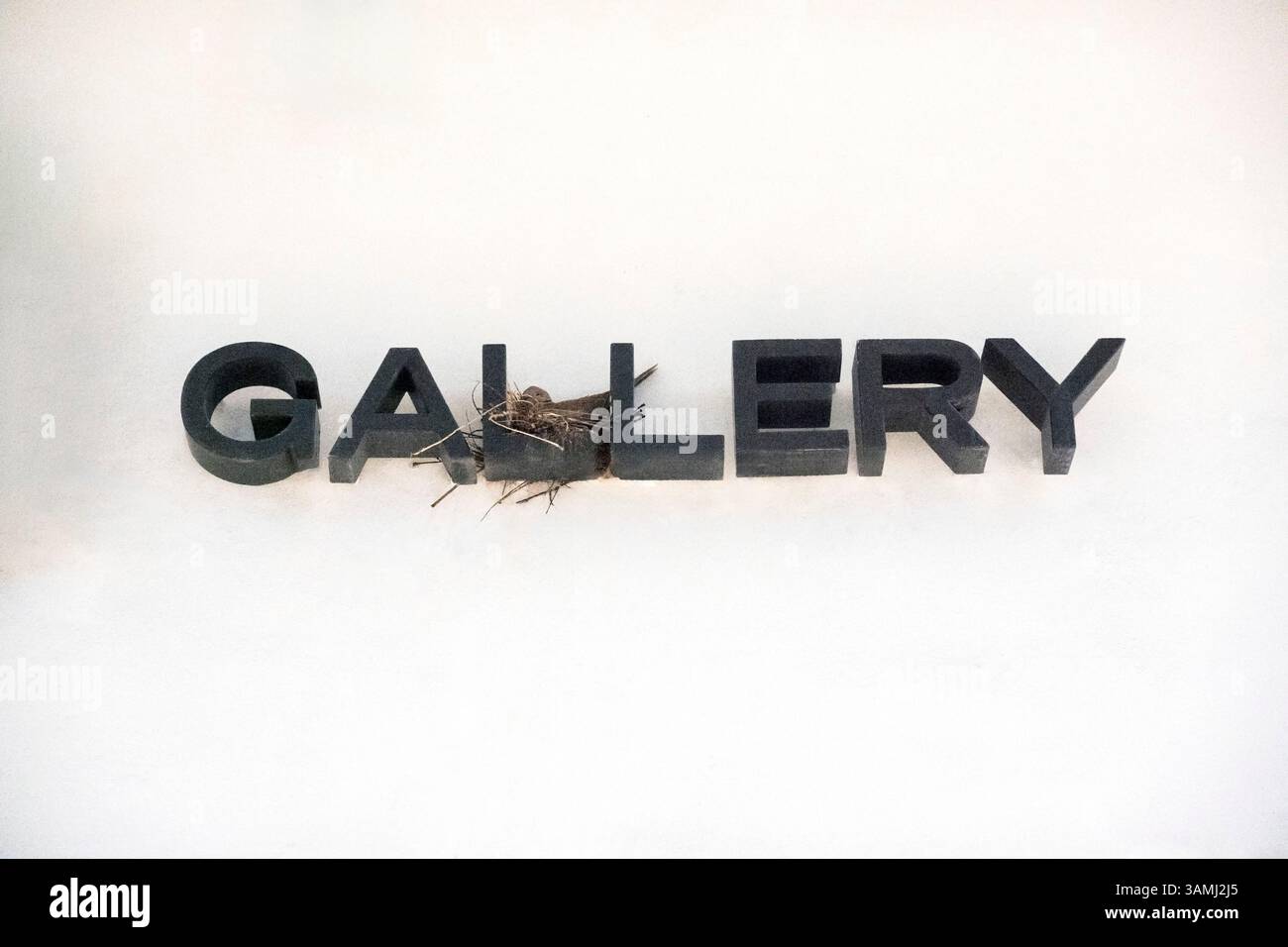 Oiseau dans le nid sur le panneau de construction Banque D'Images