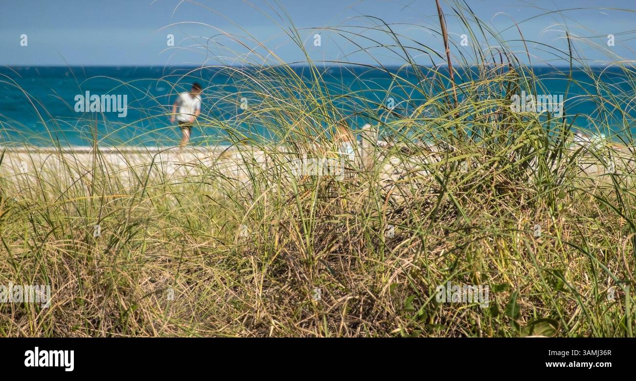 Les gens sur la plage vus à travers l'herbe des dunes Banque D'Images