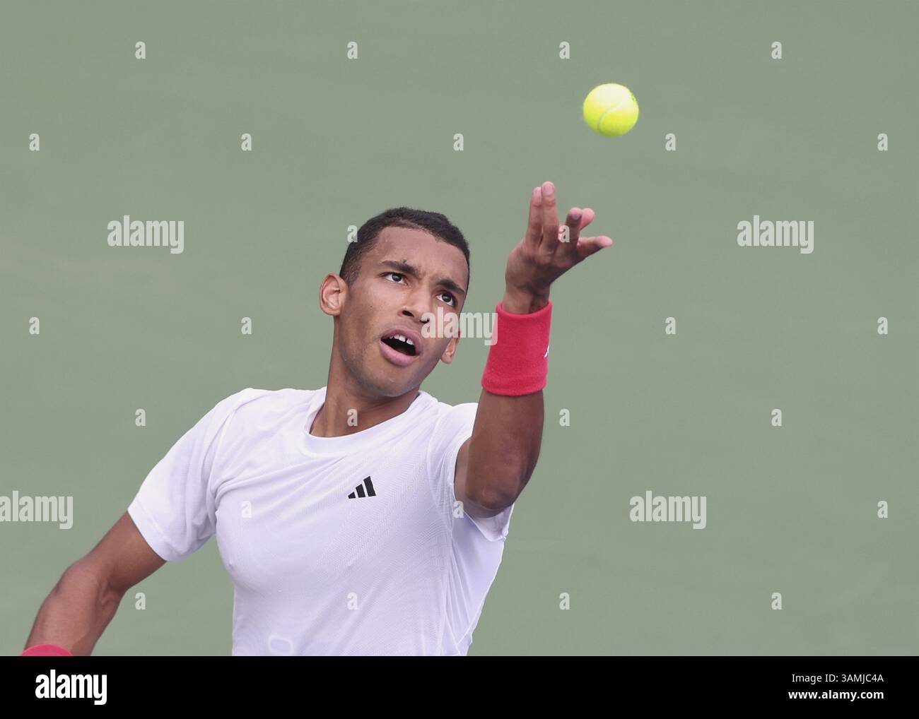 Felix Auger-Aliassime (CAN), Dubaï Duty Free Tennis Championships, Dubaï, U.A.E. Tennis - Dubaï Tennis Championships 2025 - Dubaï - ATP 500 - Dubaï du Banque D'Images