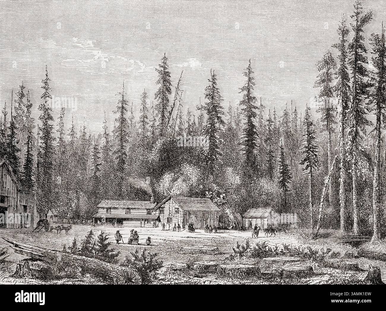 Forêt géante de Sequoia, Sequoya ou Sequoyah, Californie, 1859. De voyage en Californie ou voyage to California de L. Simonin, 1859. En vedette dans le Tour du monde, publié en 1862. Banque D'Images Forêt géante de Sequoia, Sequoya ou Sequoyah, Californie, 1859. De voyage en Californie ou voyage to California de L. Simonin, 1859. En vedette dans le Tour du monde, publié en 1862. Banque D'Images