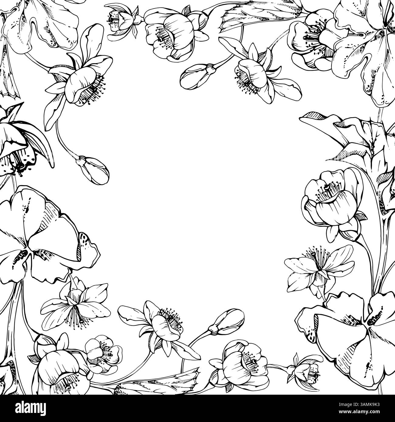 Fleurs blanches de printemps avec des feuilles, forêt cloudberry pomme cerise sakura anémone primevre éphémère, encre vectorielle dessinée à la main. Cadre carré isolé Illustration de Vecteur