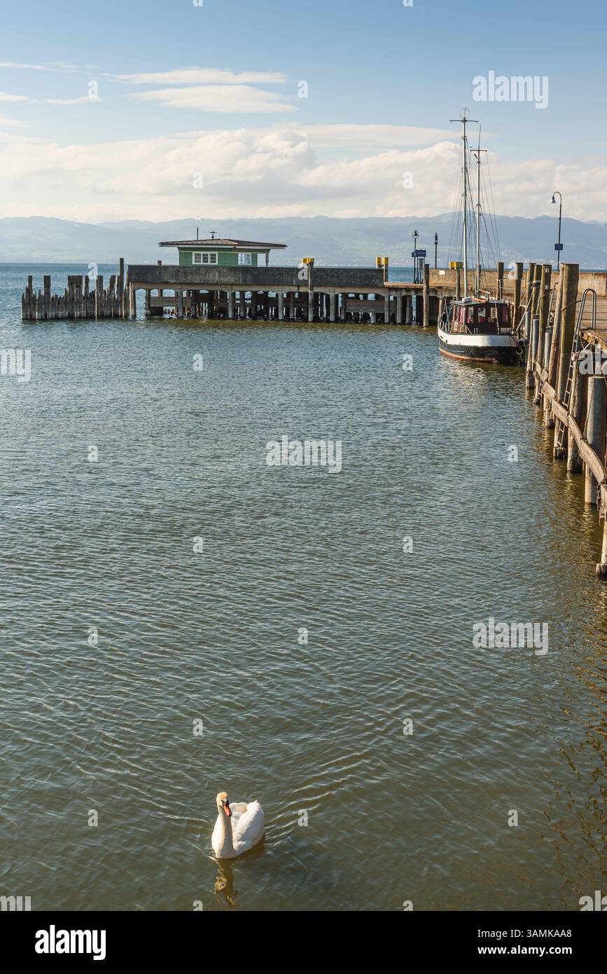 Jetée en bois avec un bateau amarré et un cygne blanc au premier plan à Langenargen sur le lac de Constance, Bade-Württemberg, Allemagne. Banque D'Images