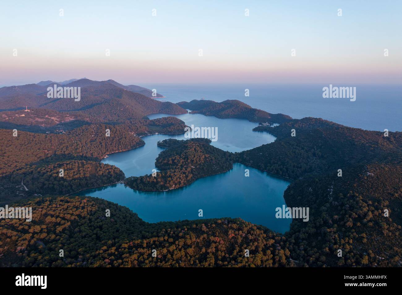 Vue aérienne de la côte idyllique avec des forêts luxuriantes et la mer bleue tranquille, Pomena, Croatie. Banque D'Images