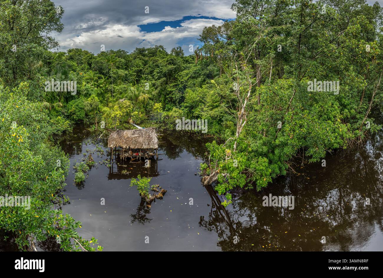 Vue aérienne du delta du fleuve Orénoque, Venezuela. Banque D'Images