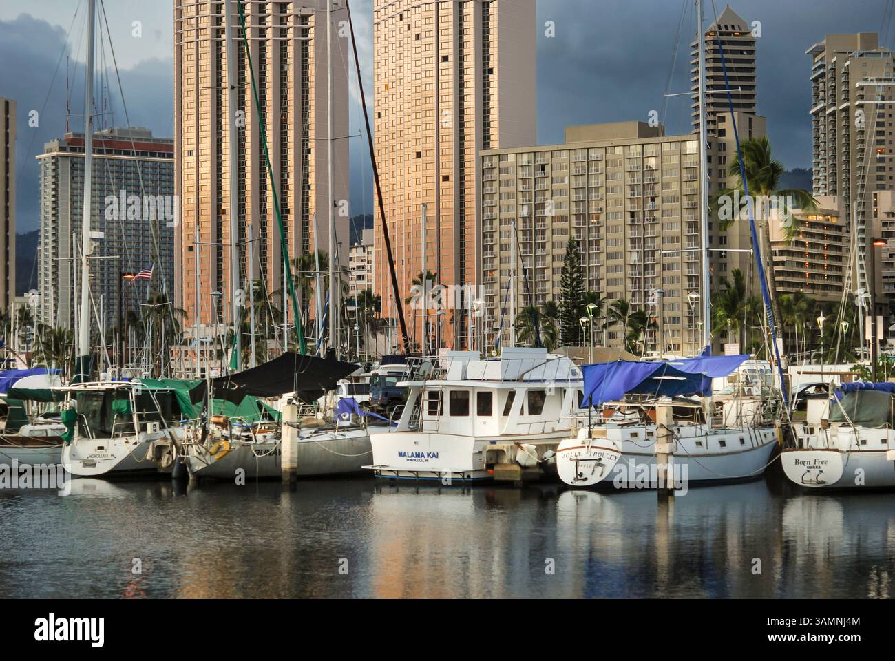 Bateaux amarrés dans une marina à Honolulu, Hawaï Banque D'Images