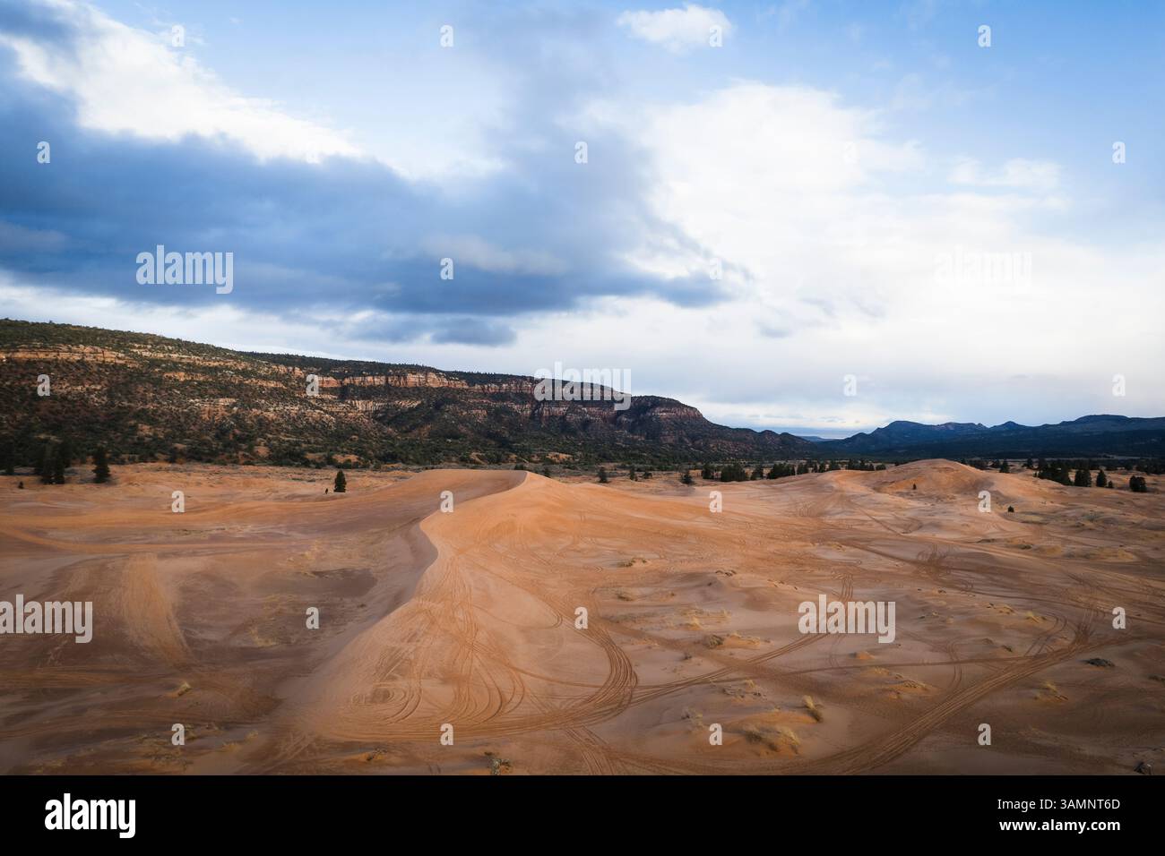 Vue aérienne des dunes de sable rose corail dans un paysage désertique tranquille, Kanab, États-Unis. Banque D'Images