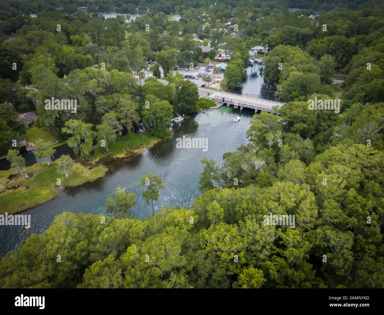 Vue aérienne de la forêt luxuriante et de la rivière tranquille avec un pont pittoresque, à la périphérie de Rainbow River, Dunnellon, Floride, États-Unis. Banque D'Images